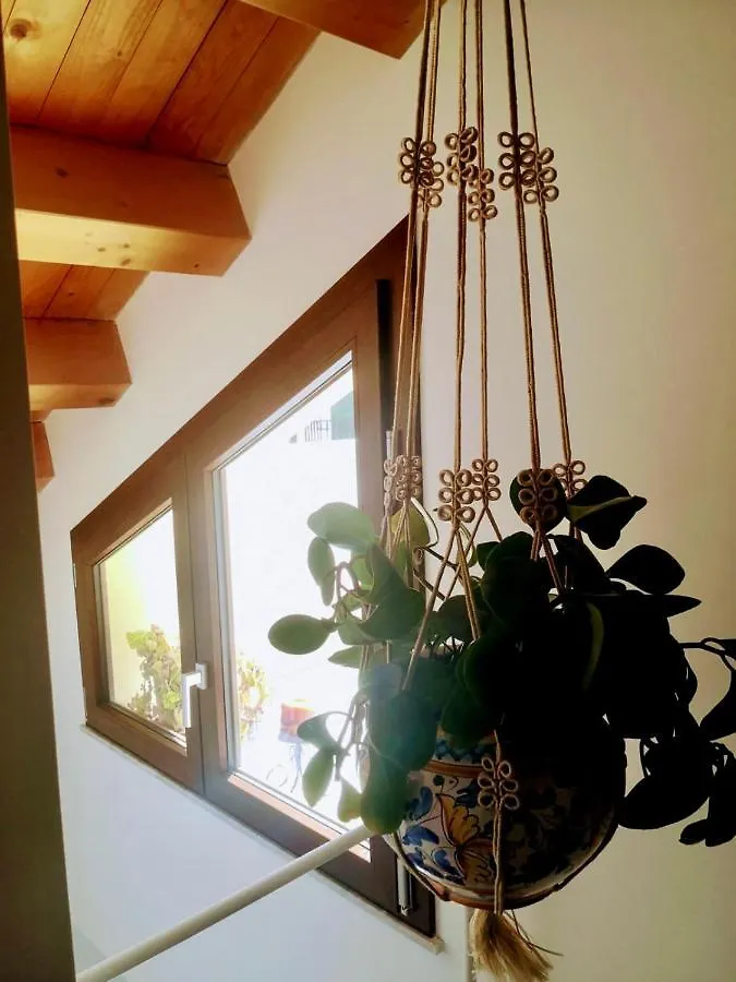 Cala Terrace Hotel Palermo Guest house